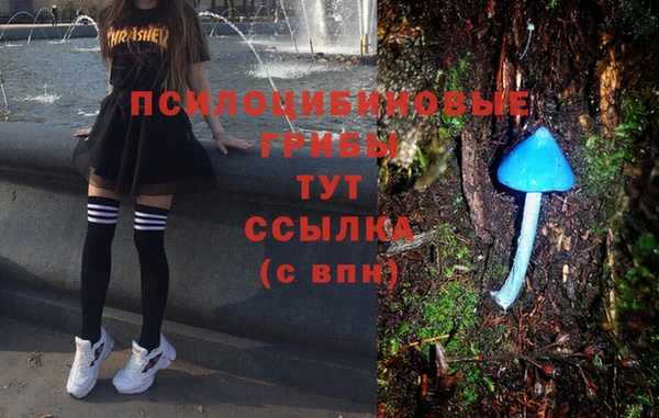MDMA Бородино