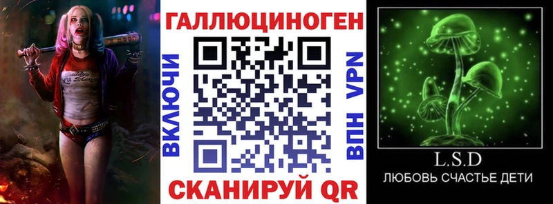 купить наркотик  Волжский  Псилоцибиновые грибы GOLDEN TEACHER 